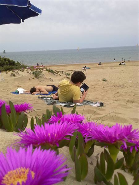 Spiaggia di Torre Paola - San Felice Circeo