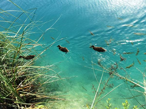 I laghi di Plitvice