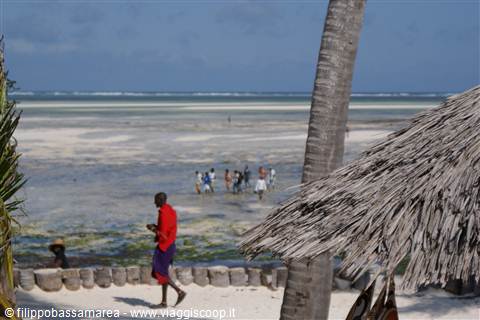 WATAMU