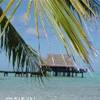 Overwater POLINESIA FRANCESE 