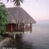 lagoon deluxe bungalow del Sofitel Motu POLINESIA FRANCESE 