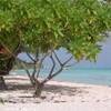 spiaggia selvaggia POLINESIA FRANCESE 