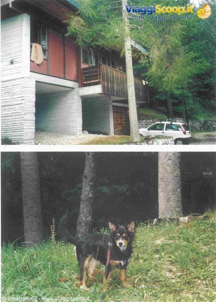 la nostra baita a borca di cadore
