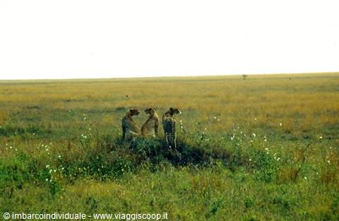 Safari in Tanzania alla ricerca delle sorgenti del Nilo