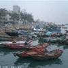 Boat Market HONG KONG 