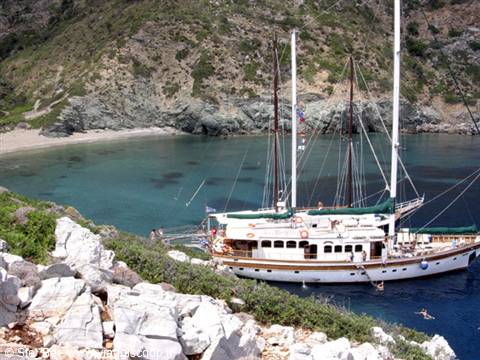 Gita al parco marino - Alonissos