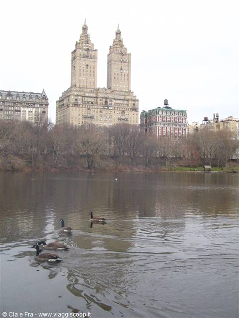 le torri di Central Park