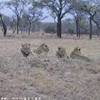 Mr.Leon (in relax) SUD AFRICA 