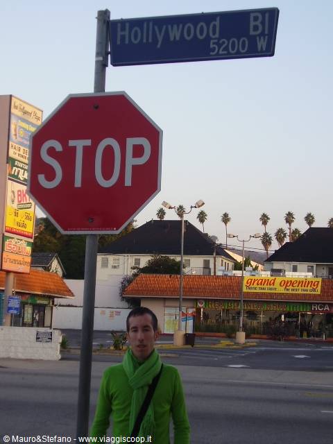 Mauro in Hollywood Blvd