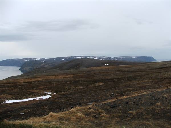 Mageroja