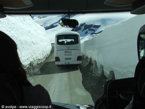 dal Dalsnibba
