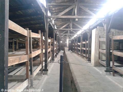 Birkenau