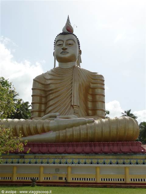 Il Buddha