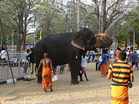 Cerimonia a Kataragama