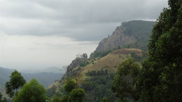 Ella's gap.