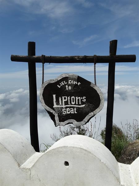 Lipton's seat