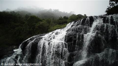 Horton plains