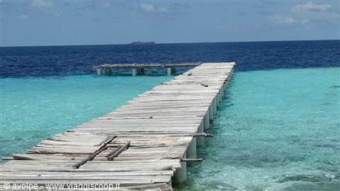 MaldiVE-VEre
