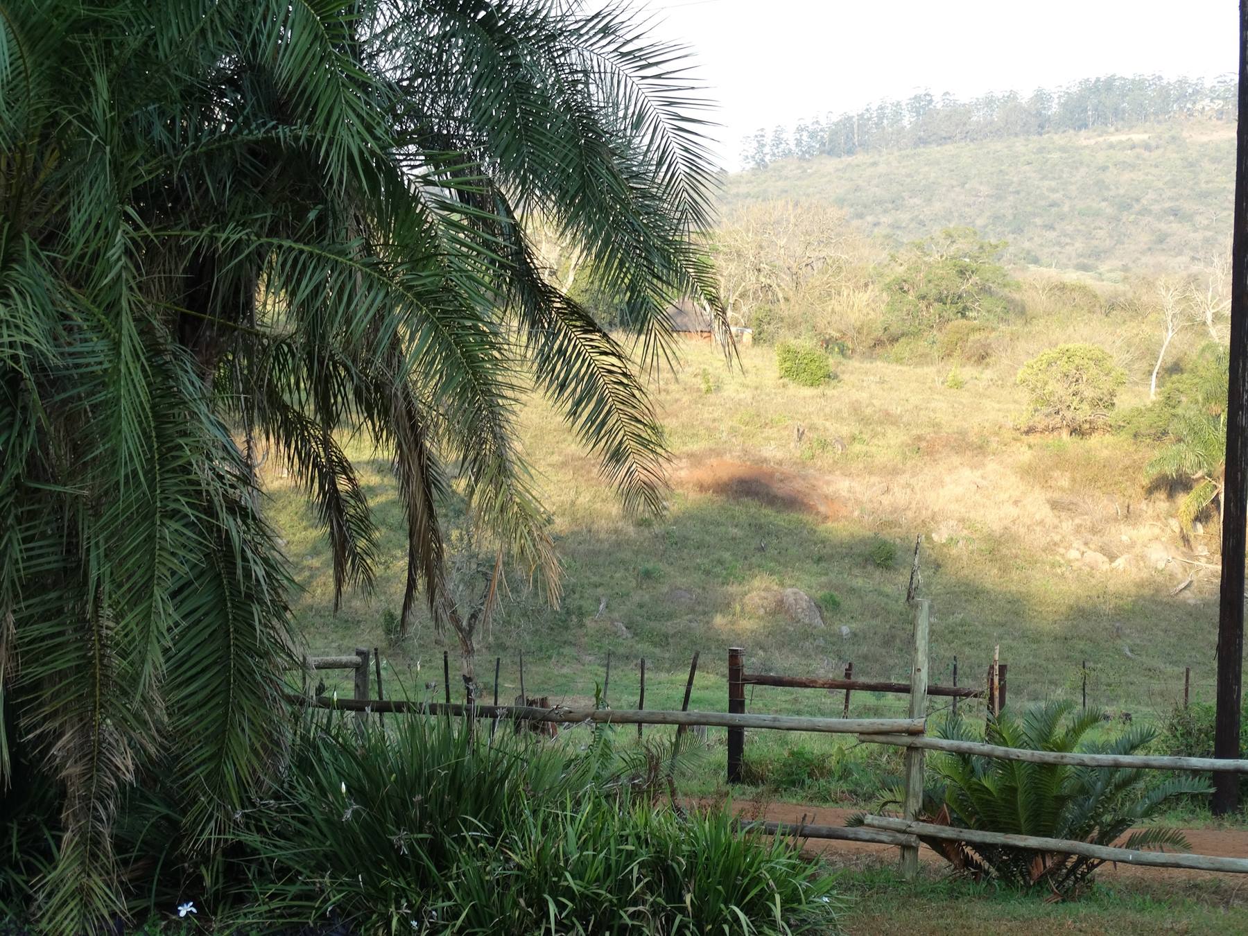 Mabuda Farm