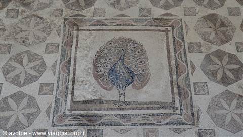 Kato Paphos