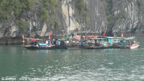 Ha Long