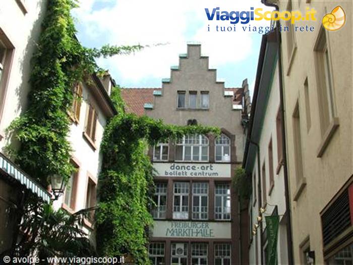friburgo