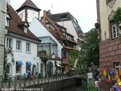 friburgo