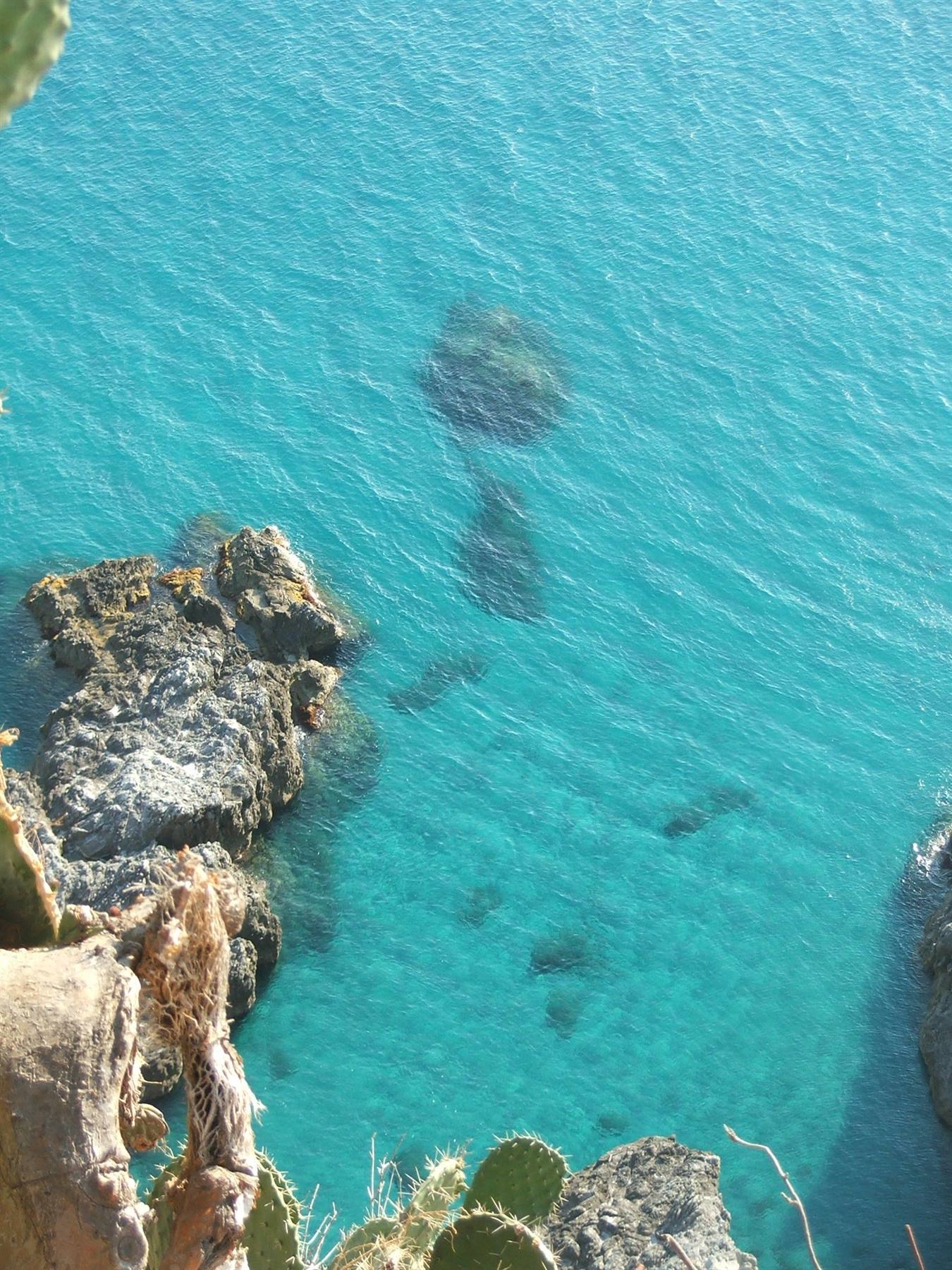 Capo Vaticano