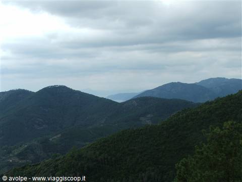..panorama da un sentiero...