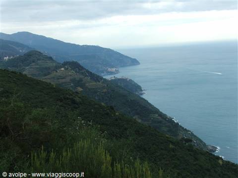 ...panorama da un sentiero..........