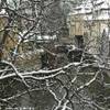 Kampa, particolare REPUBBLICA CECA 