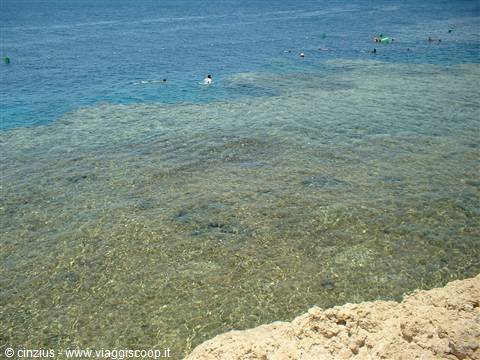 Barriera corallina