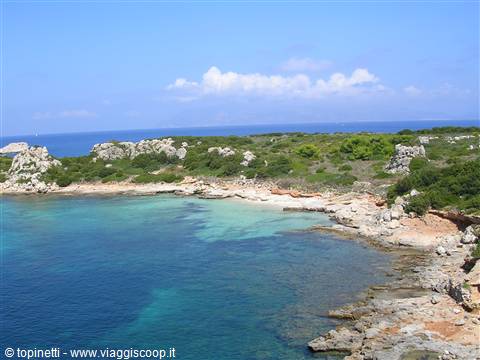pianosa