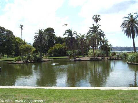 Royal Botanic Garden