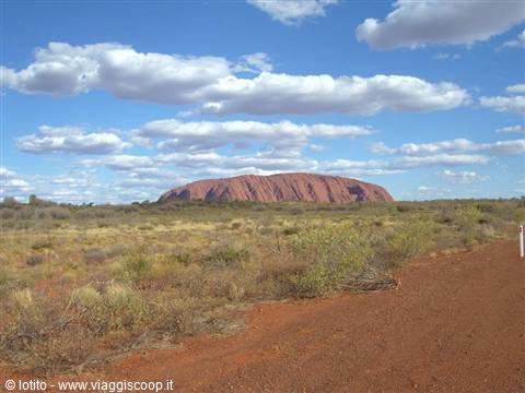 Ayers Rock: campo lungo
