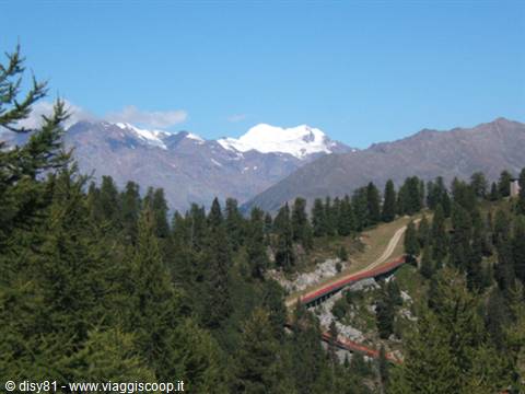 Vista Orso Bruno