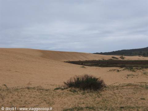Dune, Parque de Corrubedo