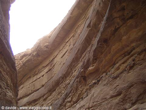 nei fondali del deserto