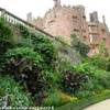  Powis Castle REGNO UNITO 