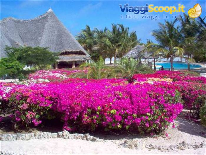 Jacaranda beach resort
