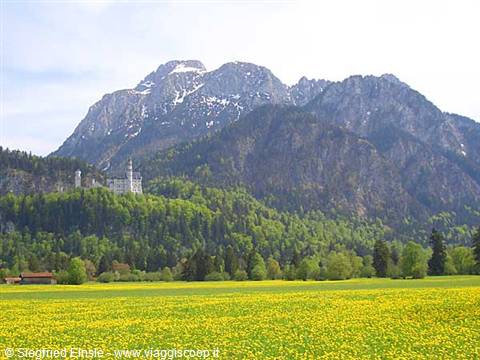 Il castello Neuschwanstein in primavera
