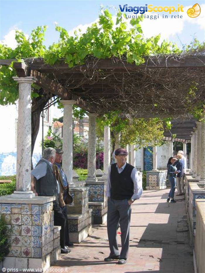 Foto di viaggio in PORTOGALLO