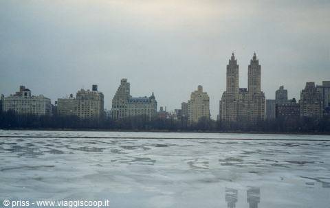 Una giornata glaciale a Central Park