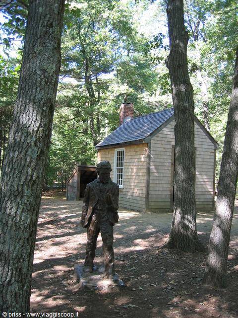 la vera finta casa di Thoreau