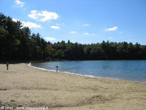 Il lago di Walden