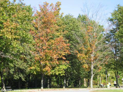 parlavamo di indian summer...