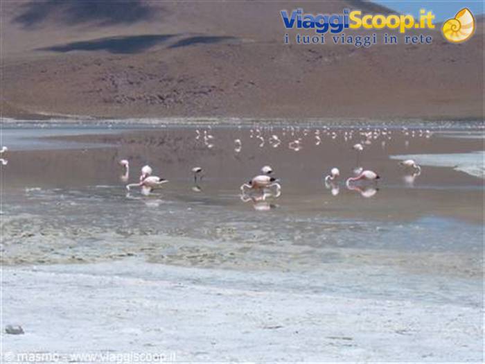 Foto di viaggio in BOLIVIA