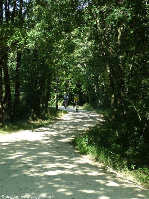 Le autostrade per le bici