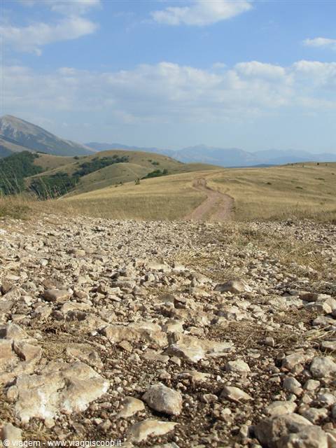 Accidentato