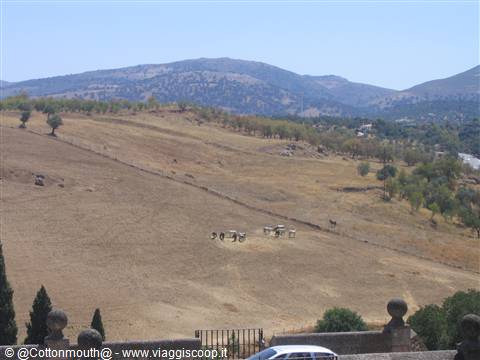 Ronda - Tipico paesaggio Andaluso